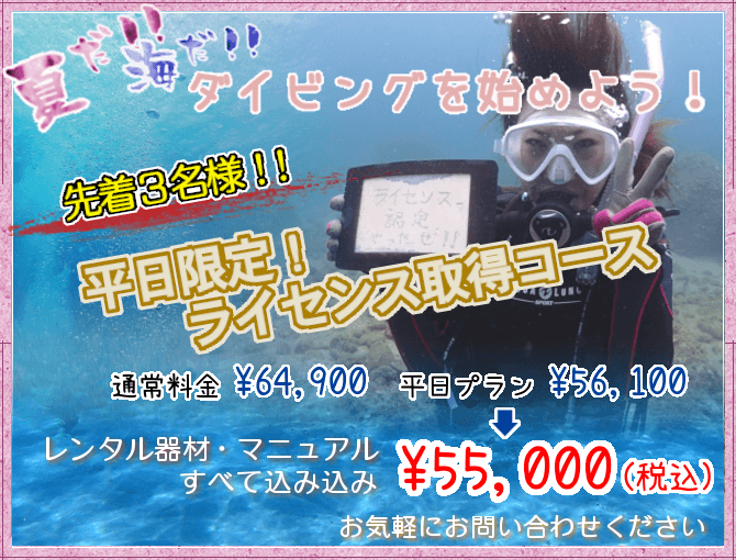 平日限定!ライセンス取得コース