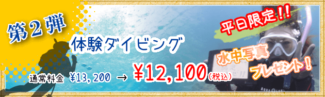 平日限定!体験ダイビング