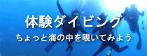 体験ダイビング